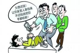 横县企业清欠服务