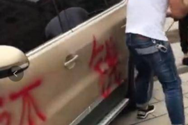 横县融资清欠服务